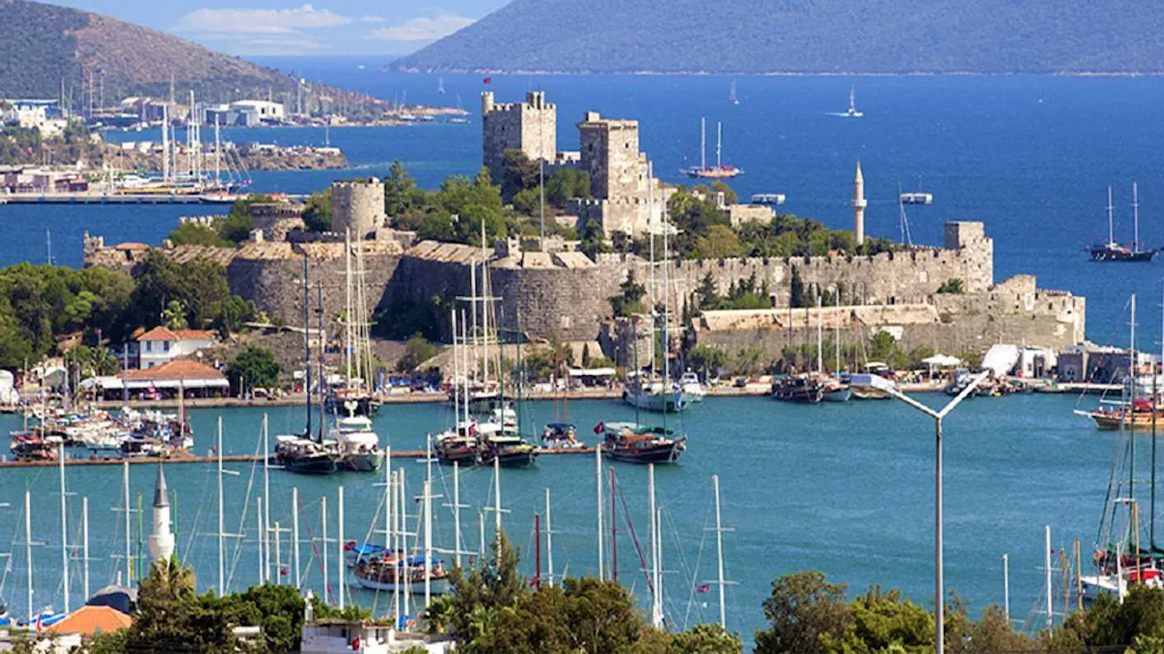 bodrumun fayans ustasi